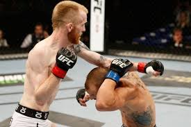 Patrick Holohan against Shane Howell at UFC Fight Night 59