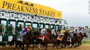 2015 Preakness Stakes odds, positions and price per head predictions