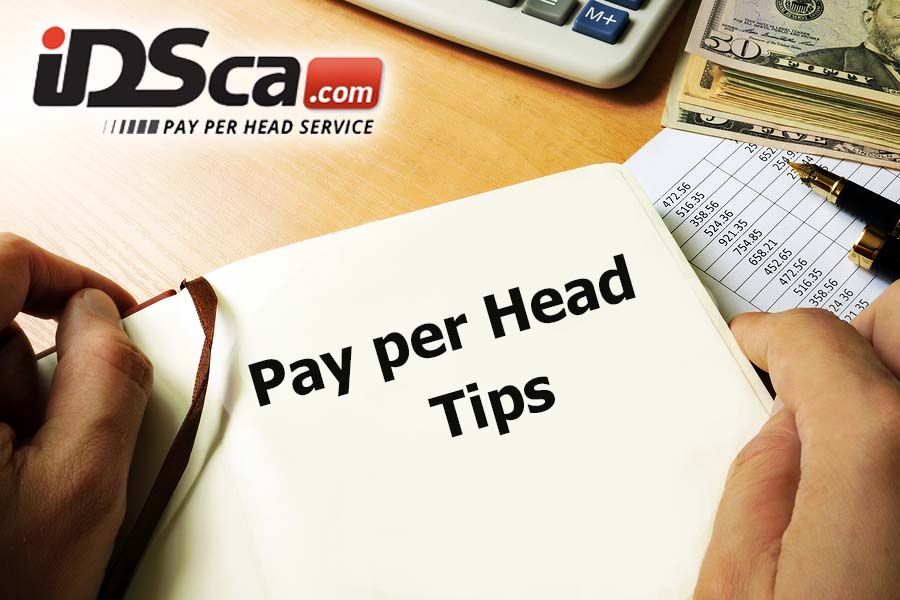 pay per head tips