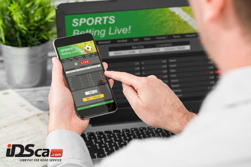 Pay per Head Sportsbook Services: A Bookmaker's tool for his Growing Business