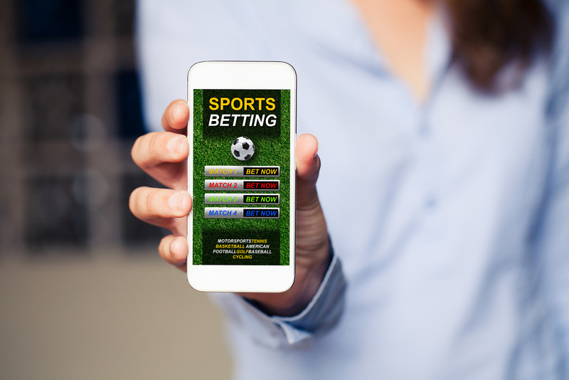 pph software for bookie website