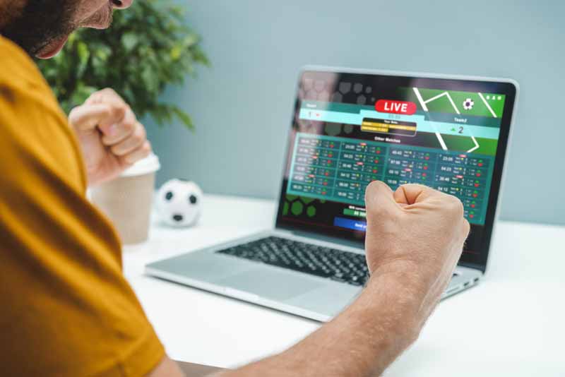 Online Sportsbook business