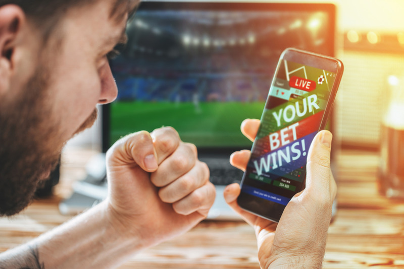Best Betting Software for Bookies