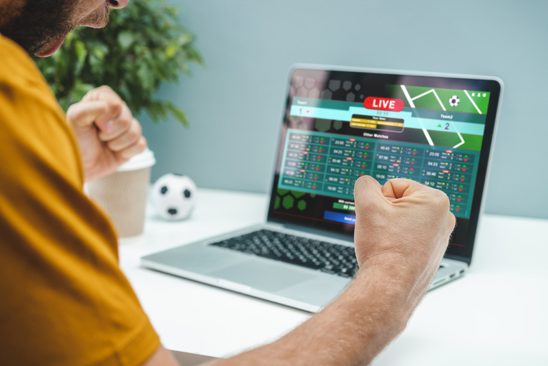 Best Online Sportsbook Software: Knowing What Are The Perks