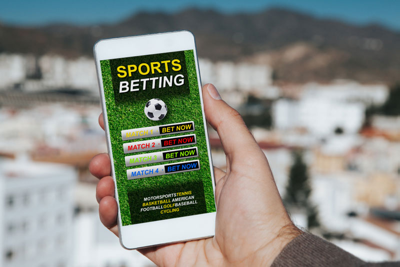 Great Pay Per Head Bookie Software