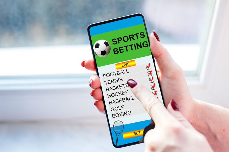 Sports Betting Website Provider