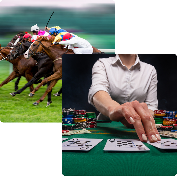 horse-racing-and-online-casino
