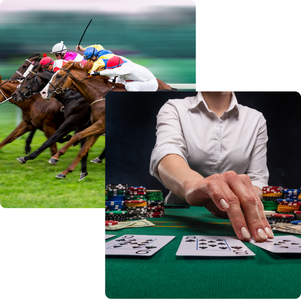 horse-racing-and-online-casino horse-racing-and-online-casino