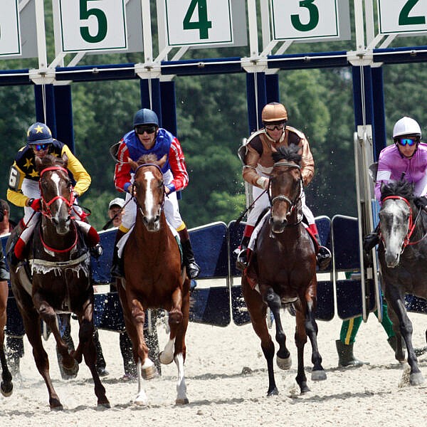 Horse Racing Gates