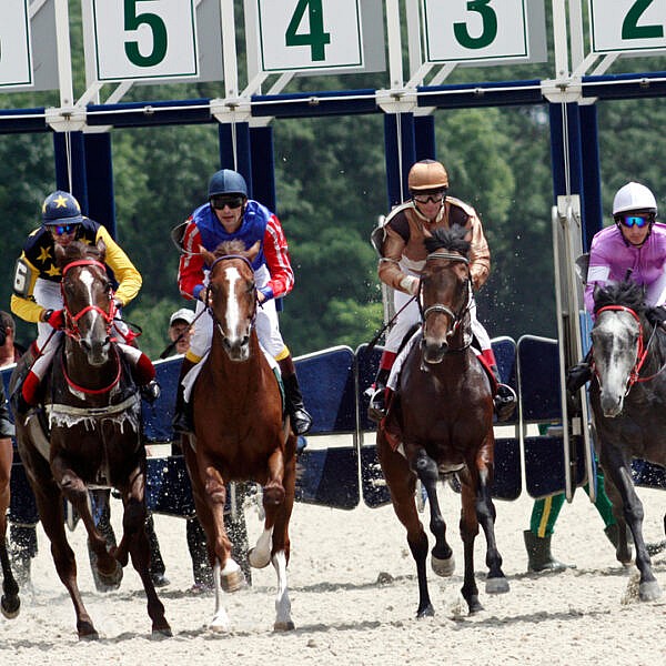 Horse Racing Gates Horse Racing Gates