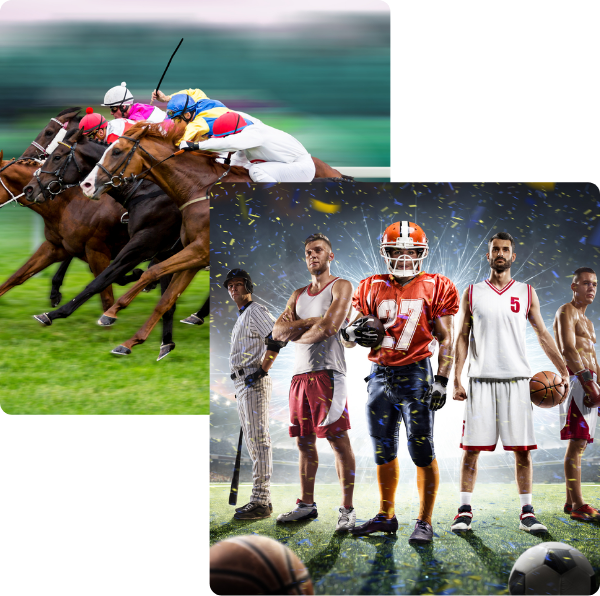 horse racing and sportsbook