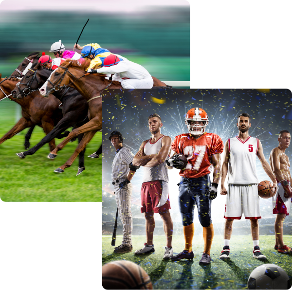 horse racing and sportsbook horse racing and sportsbook