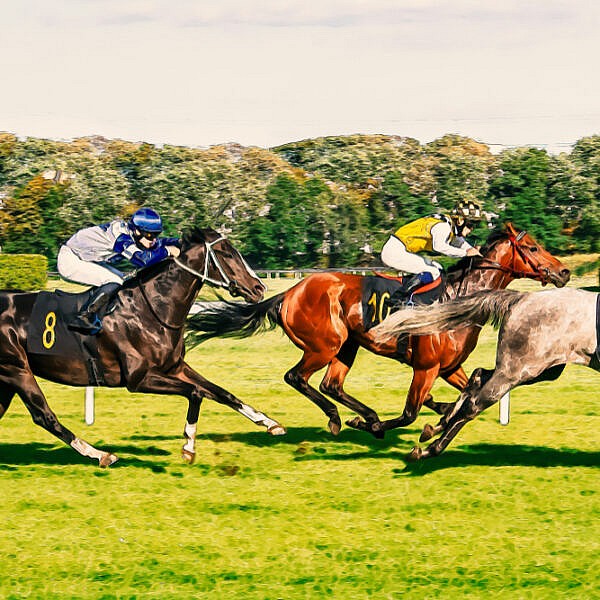 Horse Racing Horse Racing