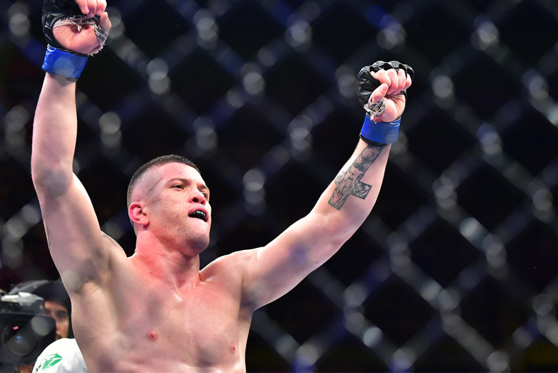 Andre Petroski vs Wellington Turman 11/12/2022 Free UFC Picks Predictions