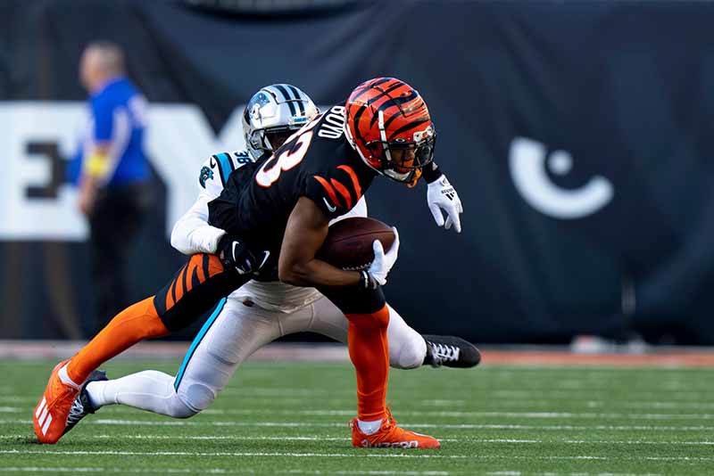 Cincinnati Bengals vs Pittsburgh Steelers 11/20/2022 Expert Picks, Tips and Predictions