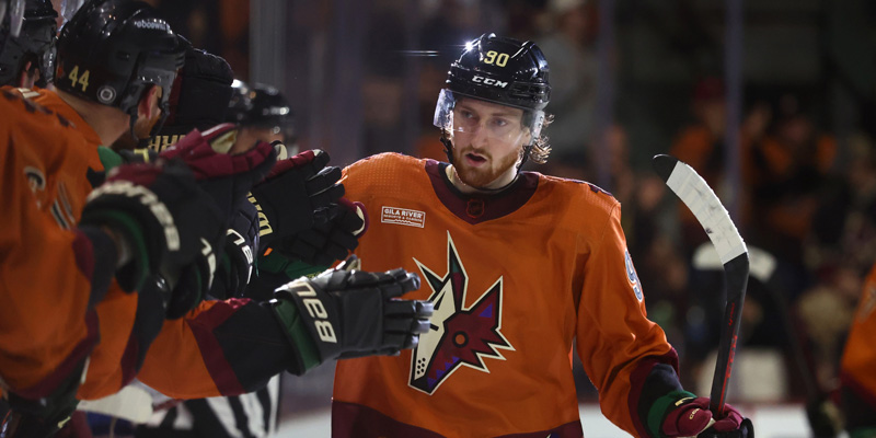 Arizona Coyotes vs Tampa Bay Lightning 12/31/2022 Free Picks, Odds and Betting Tips