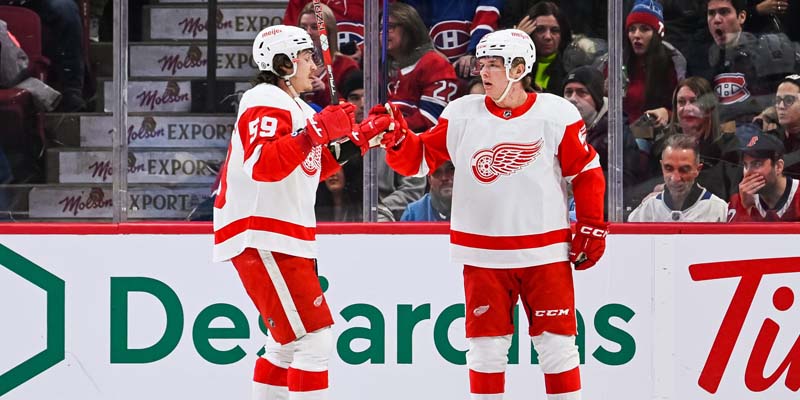 Detroit Red Wings vs New York Islanders 1/27/2023 Picks, Tips and Prediction