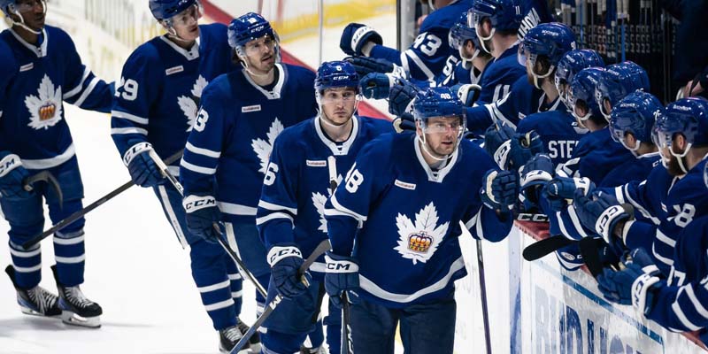 Toronto Maple Leafs vs Florida Panthers 5-7-2023